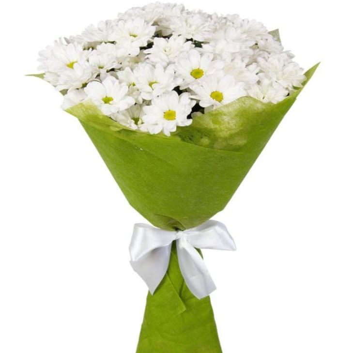 Белое облако от 3 820 руб.